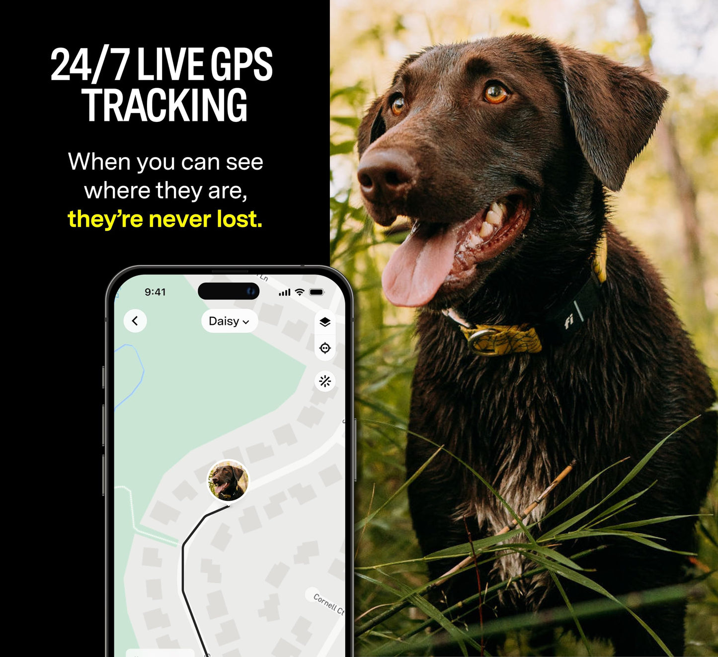 Fi Series 3 Smart Dog Collar - GPS Dog Tracker and Activity & Fitness Monitor, Waterproof, LED Light, Escape Alerts, Nationwide Coverage [Free 1 Year Membership] (Gray, Large)