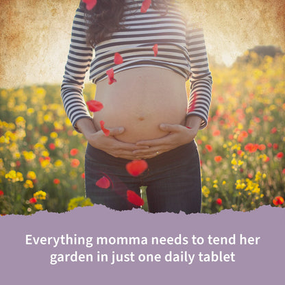 Garden of Life Organics Prenatal Vitamins - 30 Tablets, Prenatal Once Daily Whole Food Vitamins for Women with Folate not Folic Acid, Vitamin D3, Iron, Vegan One a Day Prenatal Multivitamin