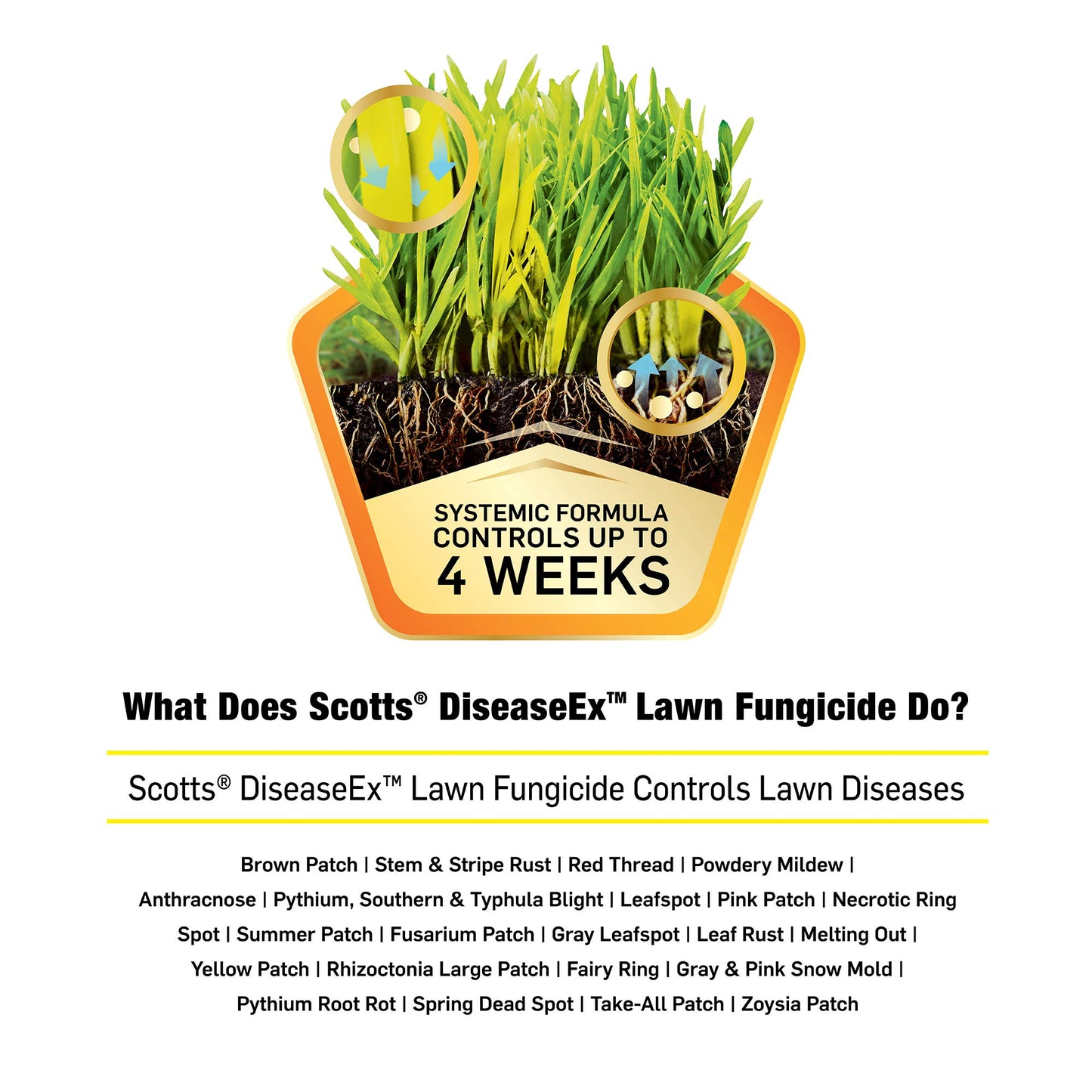 Scotts DiseaseEx Lawn Fungicide, Controls and Prevents Disease Up to 4 Weeks, Treats Up to 5,000 sq. ft., 10 lbs.