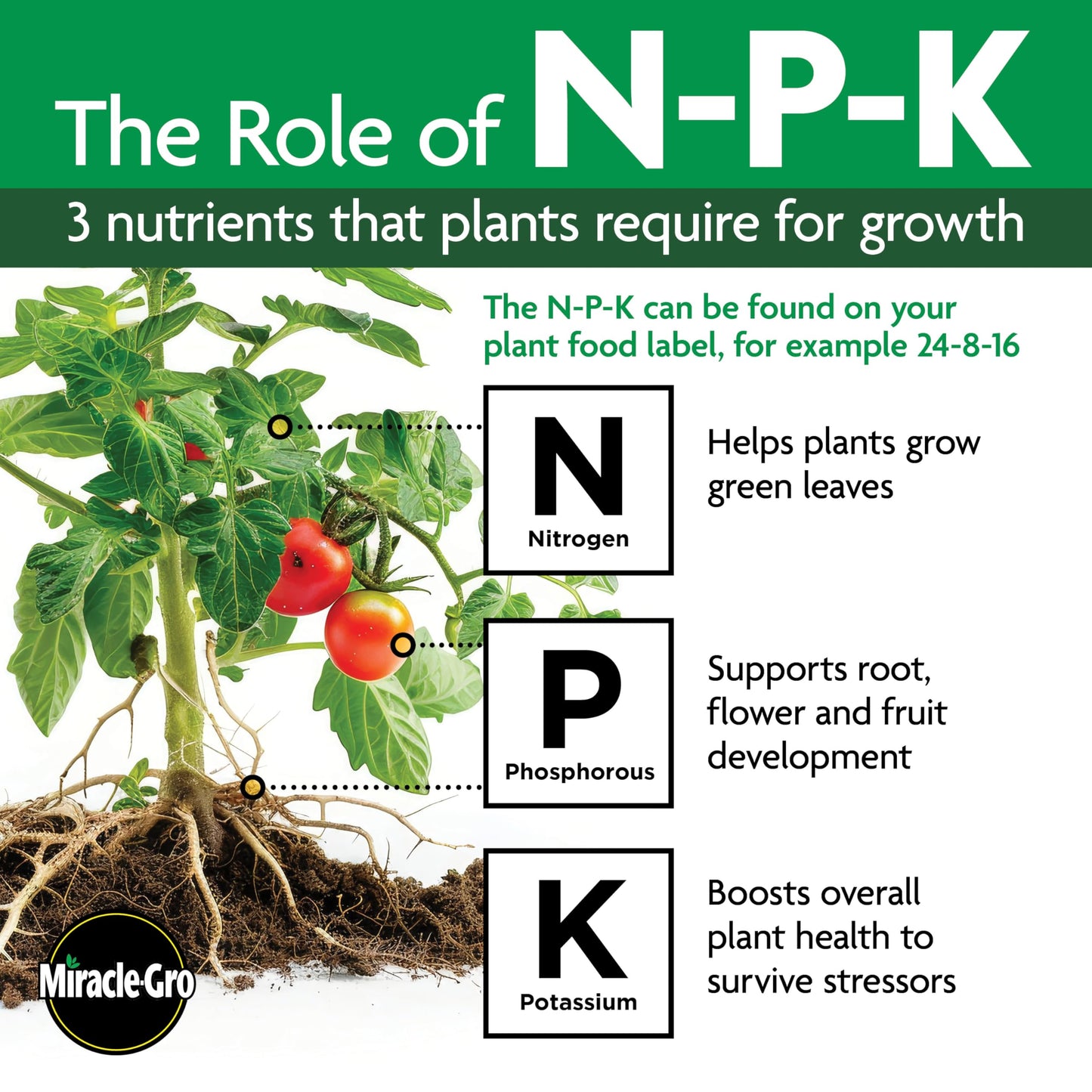 Osmocote Smart-Release Plant Food Flower & Vegetable, 2 lb.