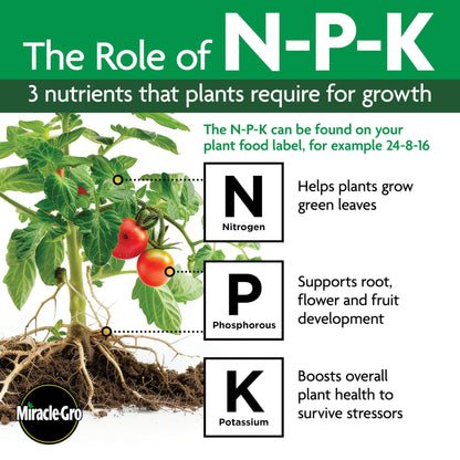 Osmocote Smart-Release Plant Food Flower & Vegetable, 2 lb.