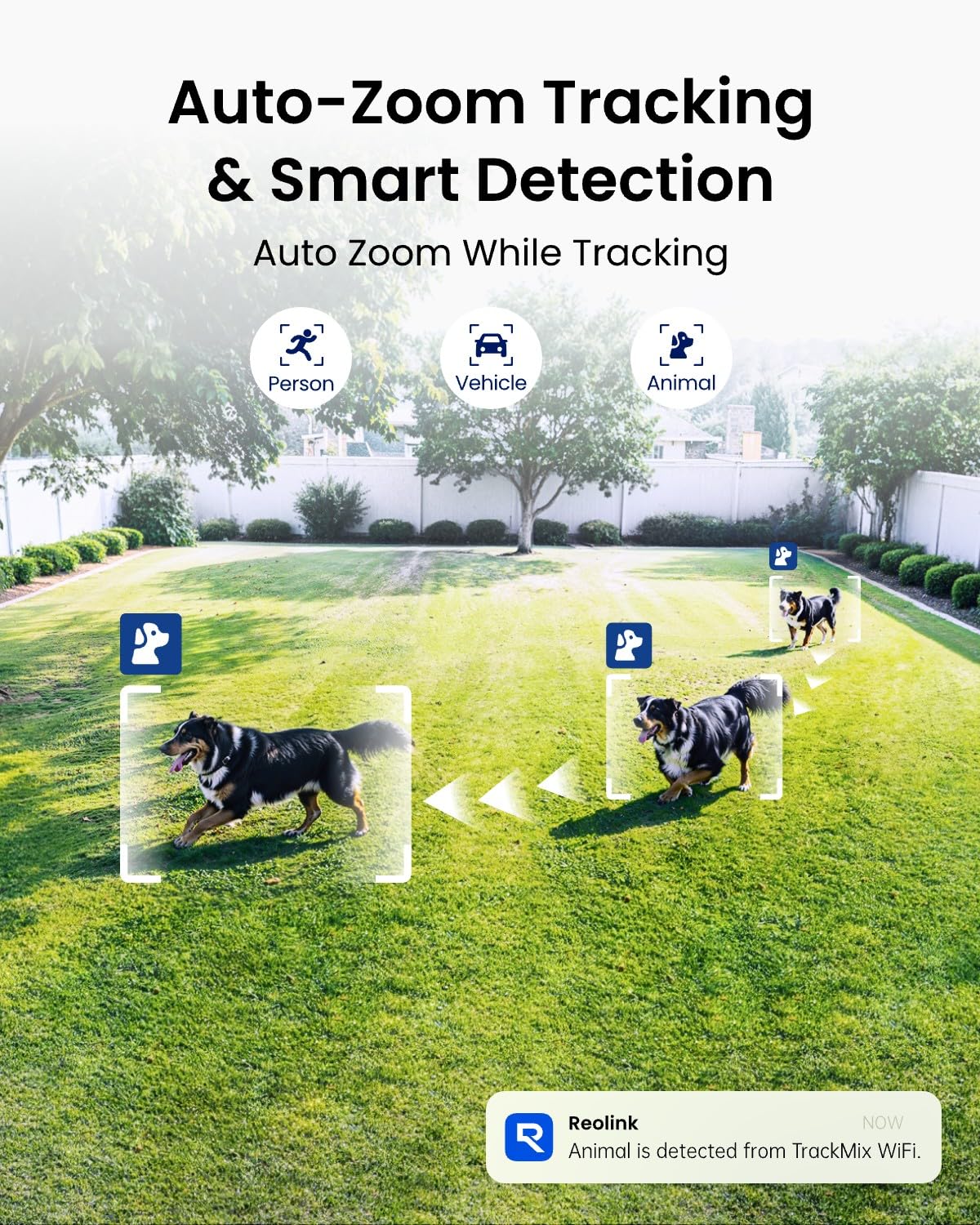 REOLINK 4K Wired WiFi Outdoor Camera, 8MP Dual Lens Security Camera, 360 PTZ Camera Auto Tracking, 2.4/5GHz Wi-Fi Smart Person/Vehicle Detection, 6X Hybrid Zoom, Color Night Vision, TrackMix WiFi