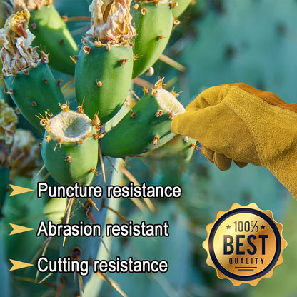 AOUCHI Women's Cotton Lined Leather Work Gardening Gloves, Rose Trimming, TIG/MIG Welding, Construction, Farm, Ranch Flexible Cowhide Gloves, Comfortable, Durable (Medium)