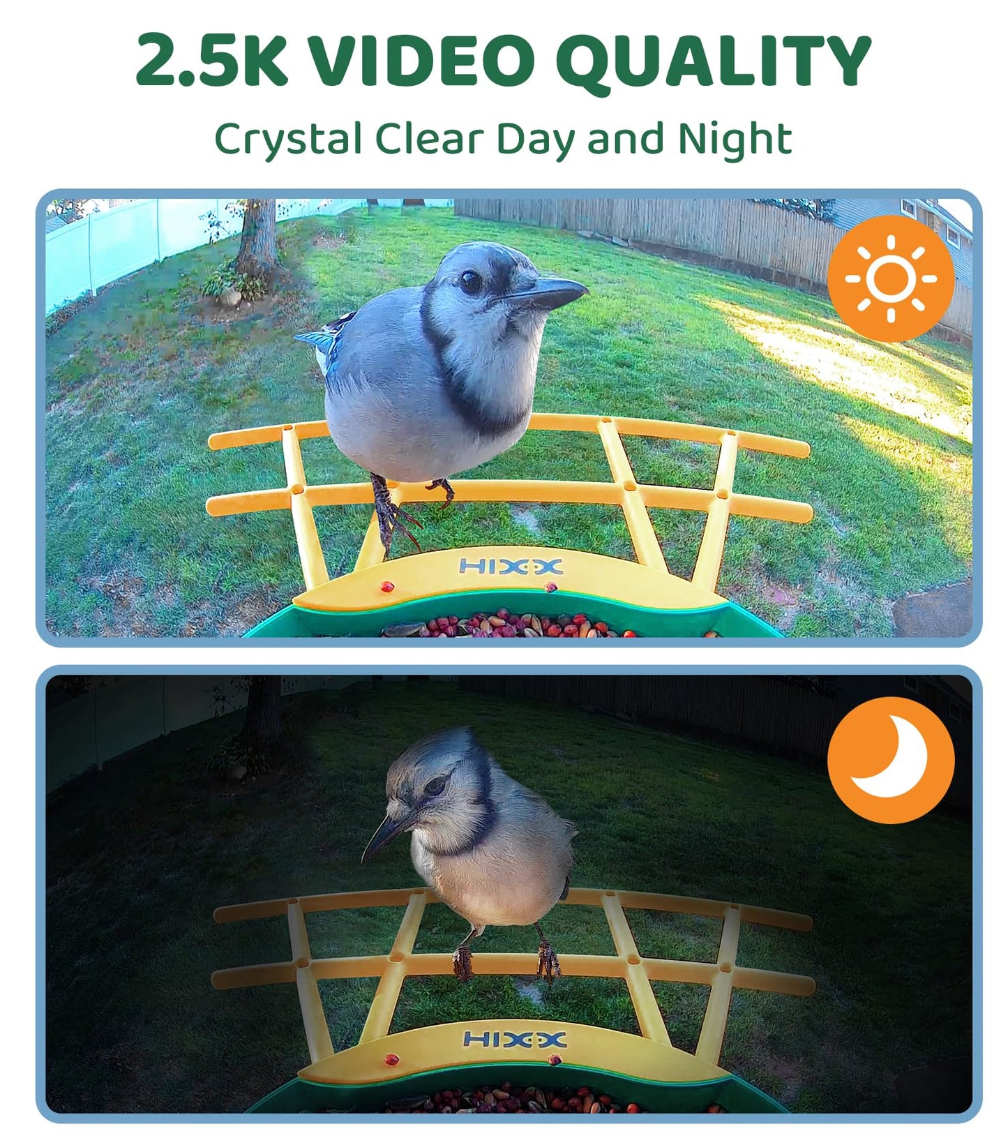 HIXX Smart Bird Feeder with Camera, Lifetime Free AI Bird Species Recognition, Solar-Powered Video Birds Feeder for Outdoors with HD Camera, Mounts Anywhere (Green)