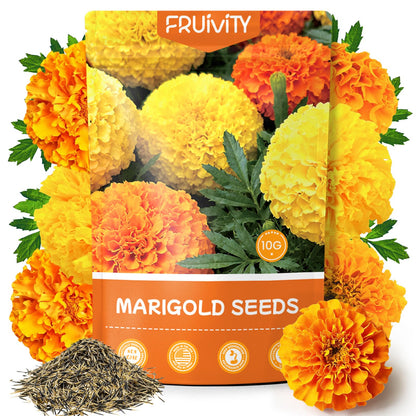 Fruivity Petite French Marigold Seeds for Planting, 400+ Flower Seeds Non-GMO Heirloom Seed Packet,Home and Garden Easy to Grow, Indoor & Outdoor Gardening, Companion Plant & Quick Blooming