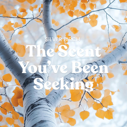 Yankee Candle Large Jar Scented Candle with up to 150 Hour Burn Time, Premium Plant Wax Blend for Consistent Burn, 22 oz Jar Candle with Room Filling Fragrance, Silver Birch