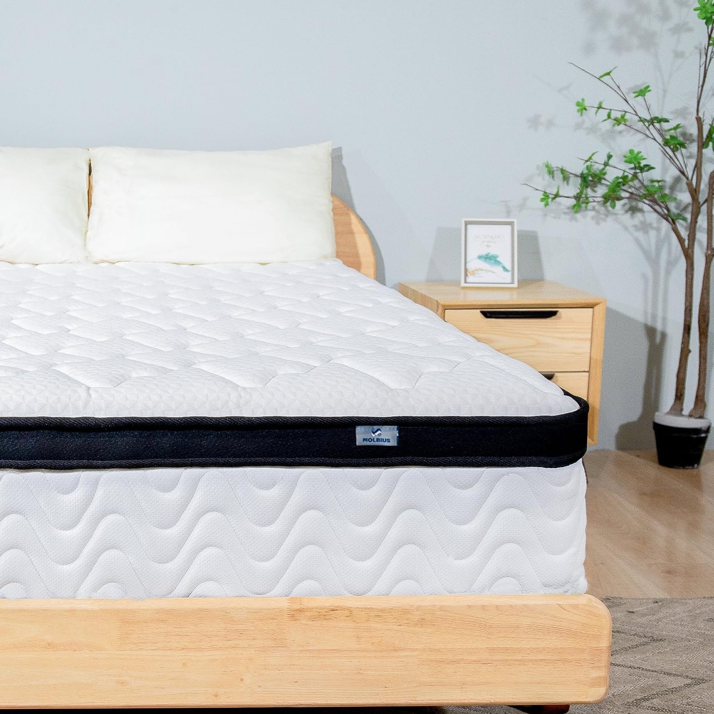 MOLBIUS Queen Mattress 10 Inch | Queen Size Hybrid Mattresses in a Box | Medium Firm Feel Memory Foam and Individual Pocket Springs | Fiberglass Free Bed Matress | Breathable | CertiPUR-US | Upgrade