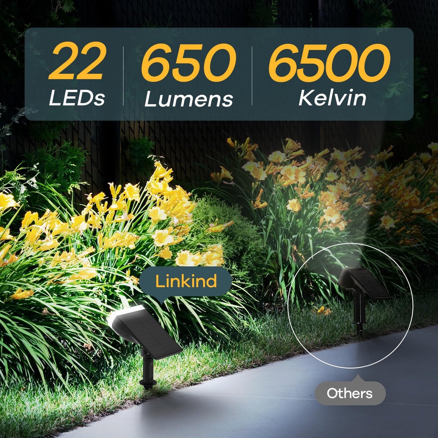 Linkind StarRay Solar Spot Lights Outdoor, IP67 Waterproof Dusk-to-Dawn Landscape Spotlights, 6500K Daylight Wall Lights for Garden Yard, Garden, Yard, (Cool White, 2 Pack)