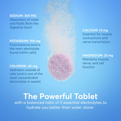 Nuun Sport Electrolyte Tablets with Magnesium, Calcium, Potassium, Chloride & Sodium, Gluten Free & Vegan, Mixed Flavors, 6 Pack (60 Servings Total)