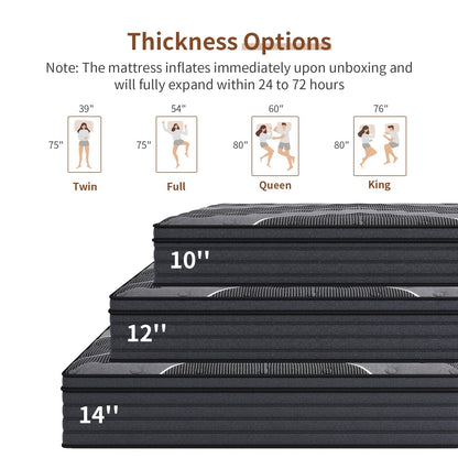 Queblox Queen Mattress, 12 Inch Hybrid Mattress in a Box, Medium Firm,Memory Foam and Individual Pocket Springs for Pressure Relief, CertiPUR-US Certified