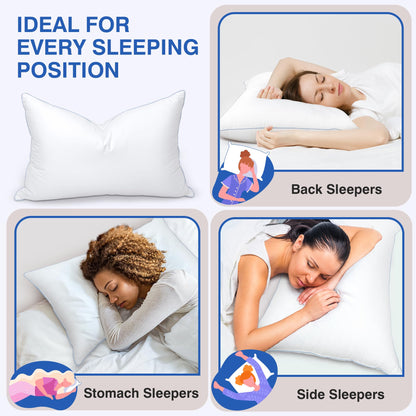 zibroges Goose Feather Pillow Queen Size Pack of 2 - Down Hotel Bed Pillows for Sleeping, Soft 600 Thread Count Cotton Cover, Fluffy Support Surround Fill Polyester for Back, Stomach, Side Sleepers