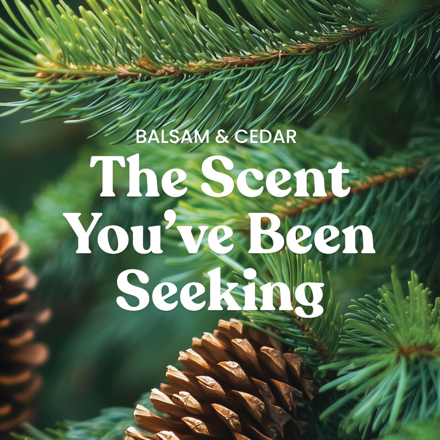 Yankee Candle 3 Wick Candle Jar, Scented Candle with up to 40 Hours of Burn Time, Premium Plant Wax Blend for Consistent Long Lasting Scent from First to Last Burn, Balsam & Cedar