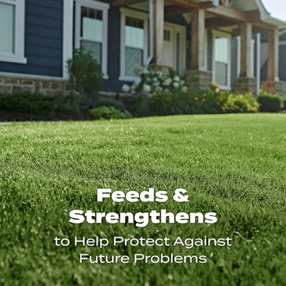 Scotts Turf Builder Lawn Food - Fertilizer for All Grass Types, 15,000 sq. ft., 37.50 lbs.