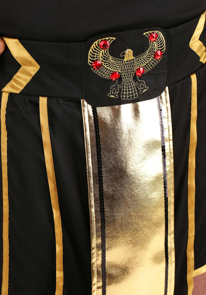 Dreamgirl Men's King of Egypt Adult Fashion Costume