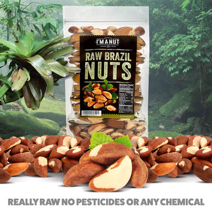 Premium Wild Harvested Raw Brazil Nuts, 1 lb (16oz) – High Selenium, Batch Tested Peanut & Gluten Free, Non-GMO, Kosher, Resealable Bag