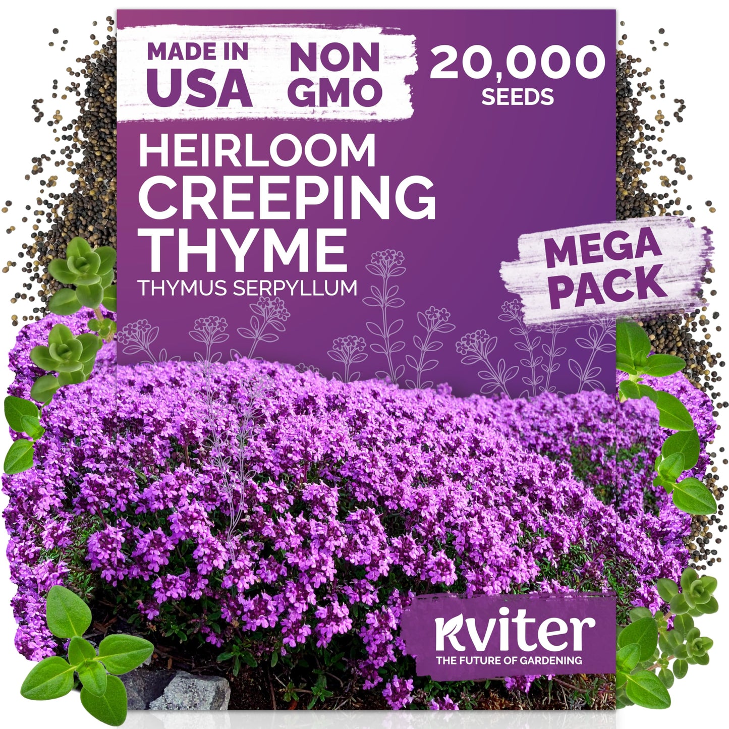KVITER 20,000 Creeping Thyme Seeds (Thymus Serpyllum) – Wild Thyme, Aromatic Ground Cover, Purple Perennial Flower Seed Packets – Great Non GMO Herb Seeds for Outdoor Garden, Landscapes & Paths