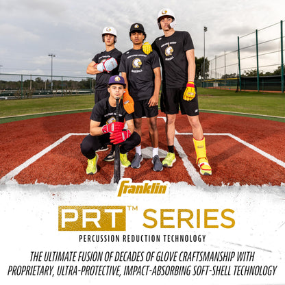 Franklin Sports Baseball + Softball Leg Guard - PRT Series Adult Shin + Foot Shield for Batting - Protective Leg + Ankle Guard with Toe Plate - Right Hand + Left Hand Hitters - Black/Gold - One Size