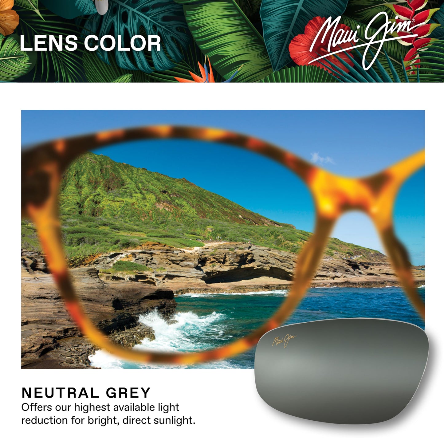 Maui Jim Men's Mikioi Polarized Aviator Sunglasses, Matte Titanium/Neutral Grey, Medium