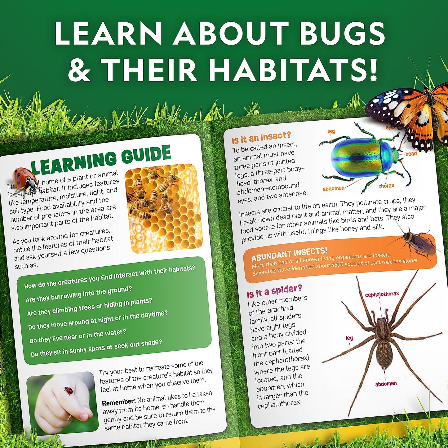 National Geographic Bug Catcher Kit for Kids - Kids Bug Habitat with Magnified Viewer, Bug Catcher, Tweezers & Learning Guide, Insect Habitat, Outdoor Toys, Kids Bug Catching Kit, Bug Box