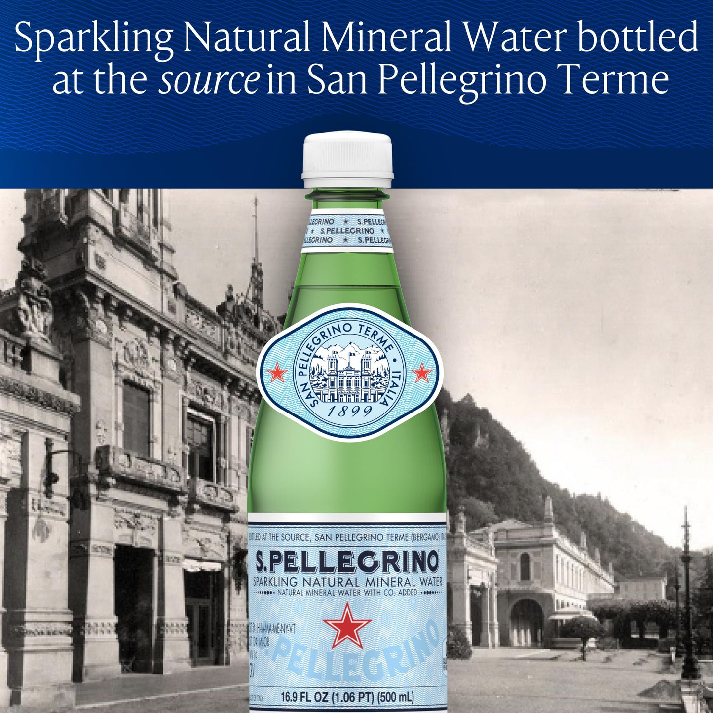 S.Pellegrino Sparkling Natural Mineral Water, Plastic Bottles, 16.9 Fl Oz (Pack of 12)