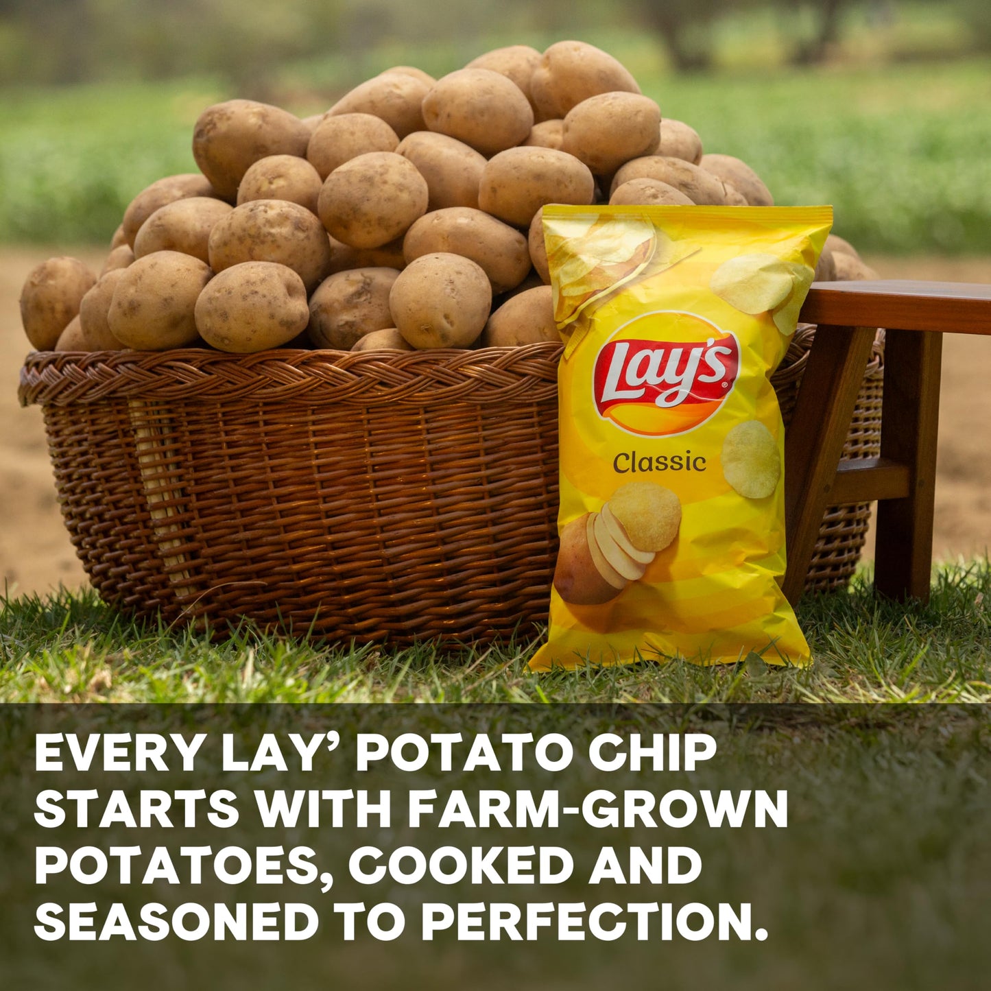 Lay's Potato Chips, Classic, 1 Ounce (Pack of 40)