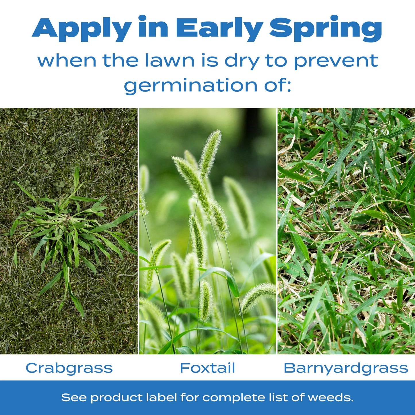 Scotts Halts Crabgrass & Grassy Weed Preventer - Pre-Emergent Weed Killer for Lawns, For Up To 5,000 sq. ft. of Lawn Care, 10.06 lb.