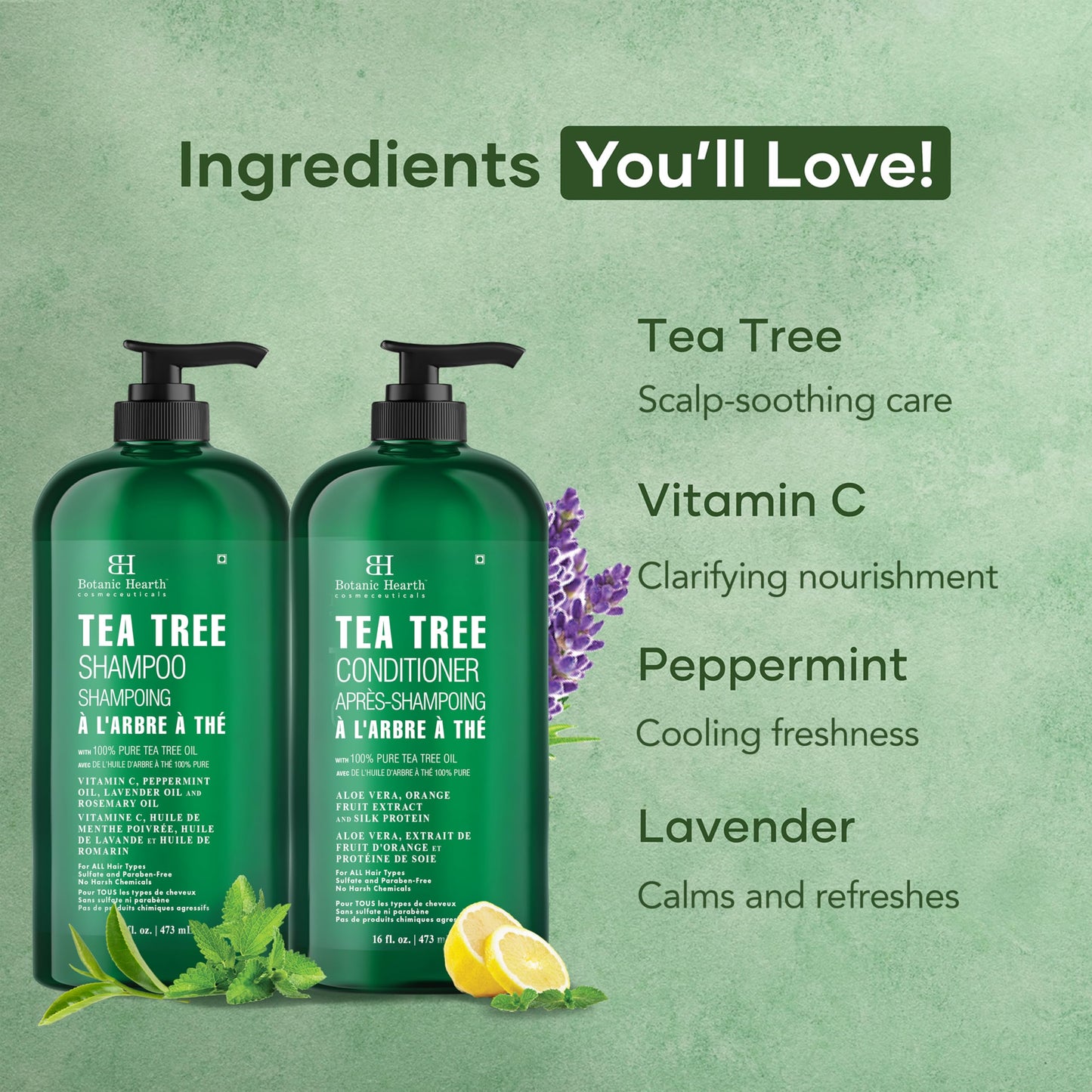 Botanic Hearth Tea Tree Shampoo And Conditioner Set | With 100% Pure Tea Tree Oil, For Itchy And Dry Scalp, Sulfate/Paraben Free | For Men And Women | 16 Fl Oz Each