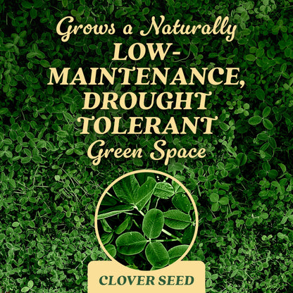 O.M. Scott and Sons Clover Seed, Lawn Seed Grows a Naturally Low Maintenance, Drought-Tolerant Lawn, 1,000 sq. ft., 2 lb.