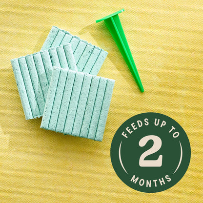 Miracle-Gro Indoor Plant Food Spikes for All Plants, Fertilizer Spikes for Houseplants, Flowers, Vegetables, and Herbs, 48 Spikes