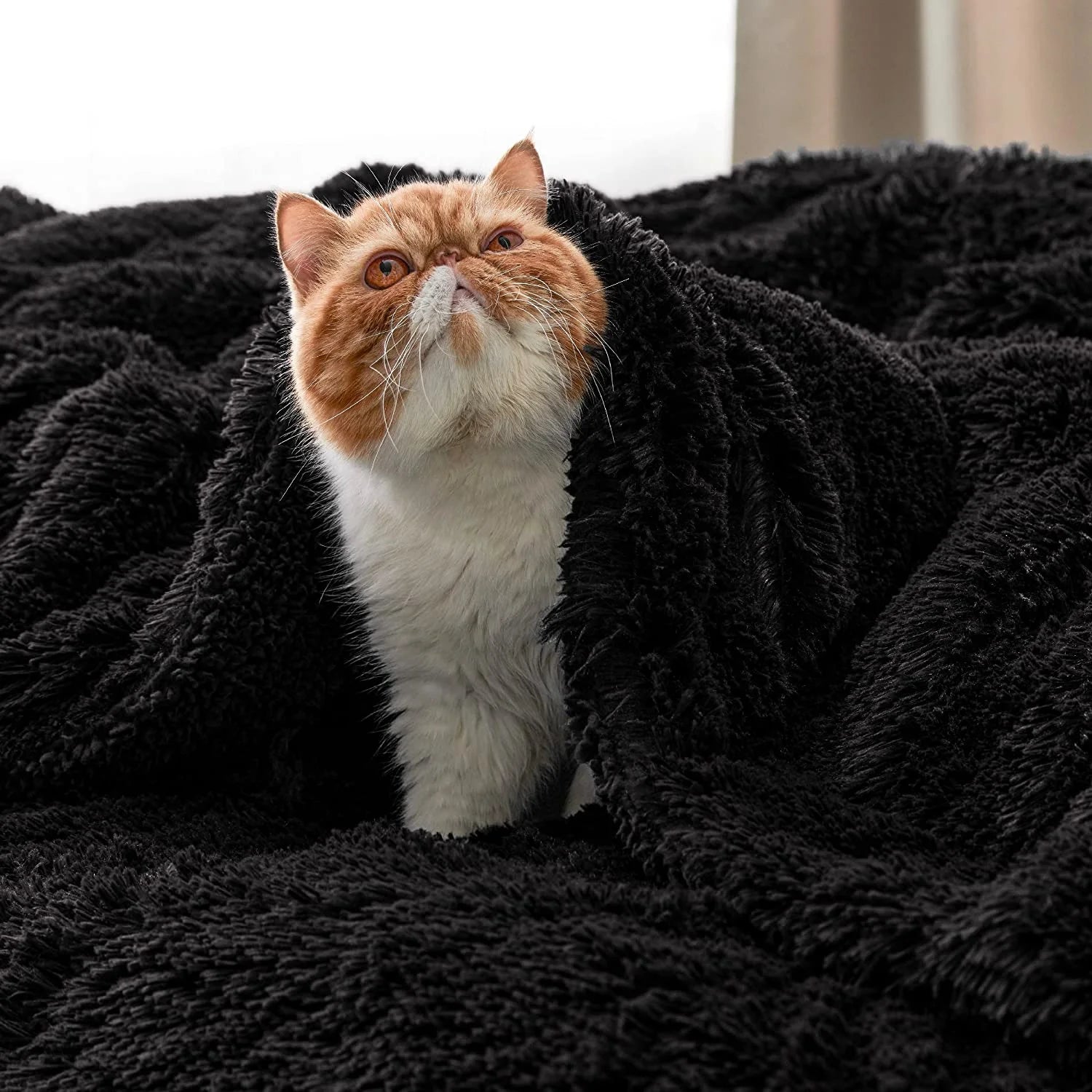 Bedsure Faux Fur Throw Blankets Black - Fluffy Blankets & Throws Shaggy Blanket, 50x60 Inches