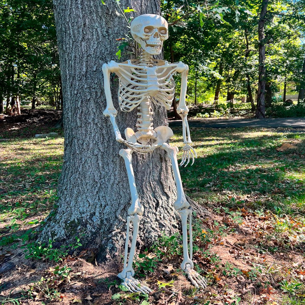 60" Posable Skeleton Halloween Decoration