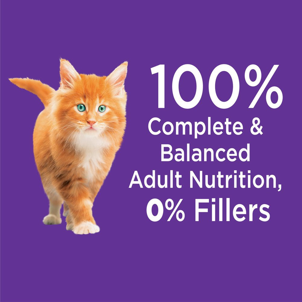 IAMS Proactive Health Chicken Dry Cat Food for Kittens, 7 lb Bag