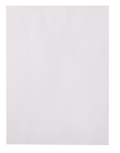 Amazon Basics Catalog Mailing Envelopes, Peel & Seal, 9x12 Inch, White, 250-Pack