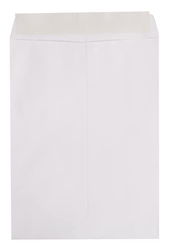 Amazon Basics Catalog Mailing Envelopes, Peel & Seal, 9x12 Inch, White, 250-Pack