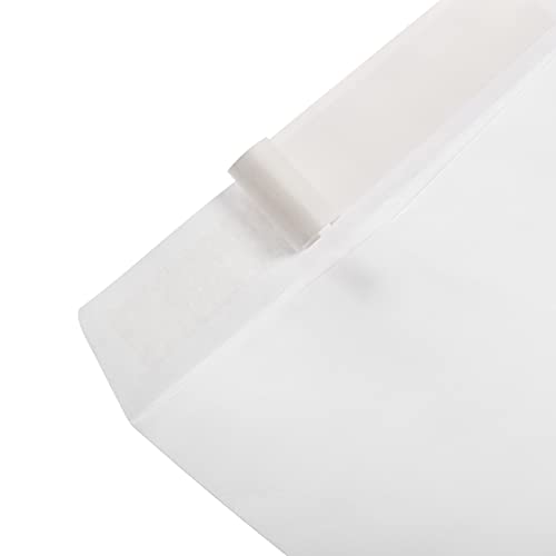 Amazon Basics Catalog Mailing Envelopes, Peel & Seal, 9x12 Inch, White, 250-Pack