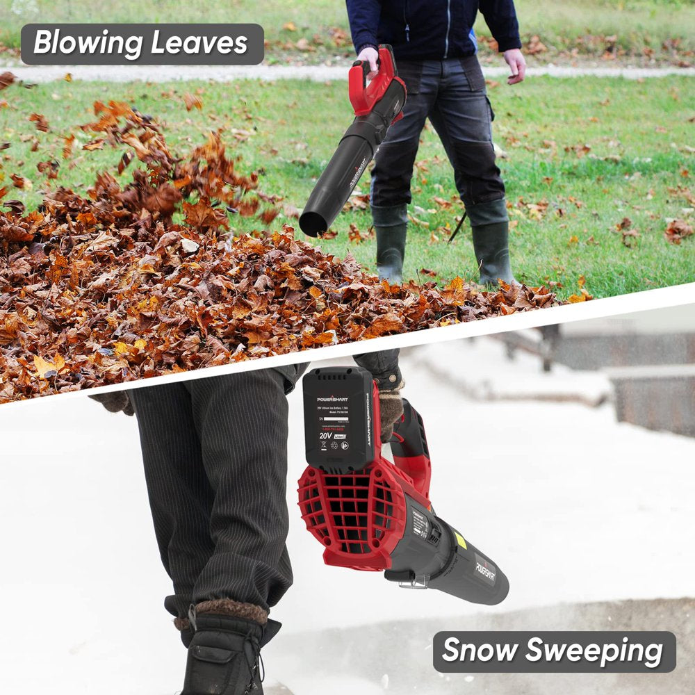 PowerSmart  20V Cordless Handheld Leaf Blower with 2 batteries and charger,PS76154A