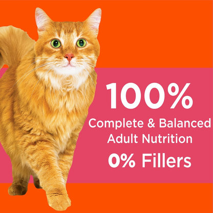 IAMS Proactive Health Chicken Dry Cat Food, 7 lb Bag