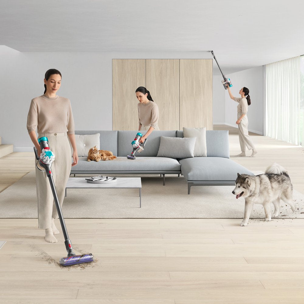 Dyson V8 Absolute Cordless Vacuum | Silver/Nickel | New