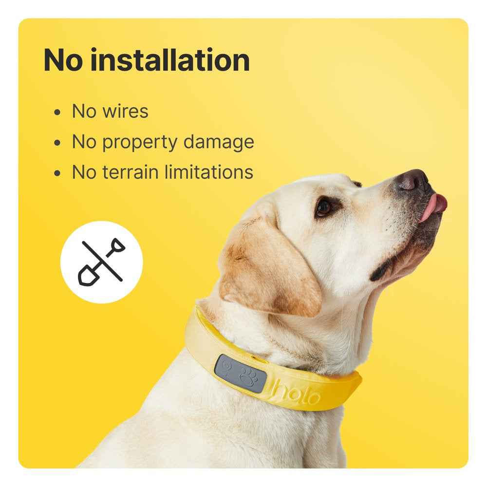 New Halo Collar 3 (Medium/Large, Graphite) - Wireless Dog Fence & GPS Dog Collar