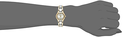 Anne Klein Women's 10-6777SVTT Two-Tone Dress Watch with an Easy to Read Dial