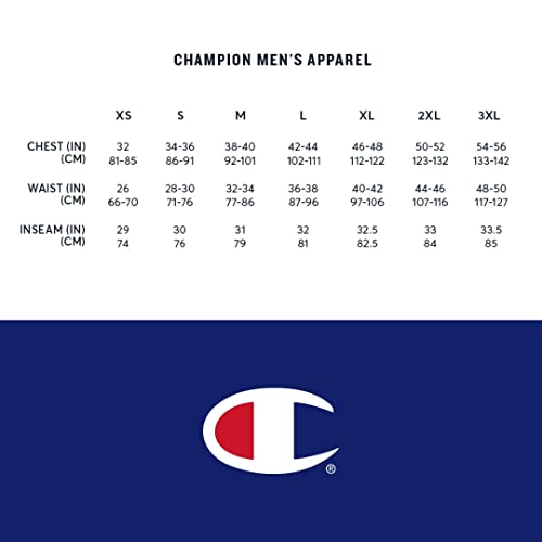 Champion Men's Hoodie, Powerblend, Fleece Striped Sweatshirt for Men (Reg. or Big & Tall)