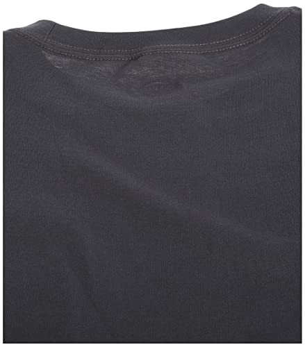 Dickies mens Short-sleeve Pocket T-shirt fashion t shirts, Charcoal, XX-Large Tall US