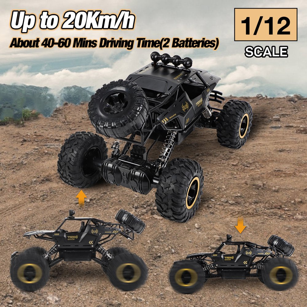 Wisairt Large RC Cars, 1:12 4WD Large Remote Control Monster Truck 2.4 GHz Alloy RC Cars for Kids Adults Age 6 + Birthday Gifts (Black)