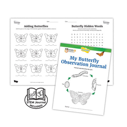 Insect Lore Caterpillars to Butterfly Kit, Deluxe 18 Voucher for 5 Caterpillars, Butterfly Growing Garden