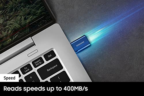 SAMSUNG Type-C™ USB Flash Drive, 256GB, Transfers 4GB Files in 11 Secs w/Up to 400MB/s 3.13 Read Speeds, Compatible w/USB 3.0/2.0, Waterproof, 2022,Blue