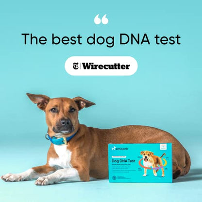 Embark | Dog DNA Test | Breed & Health Kit | Breed Identification & Canine Genetic Health Screening