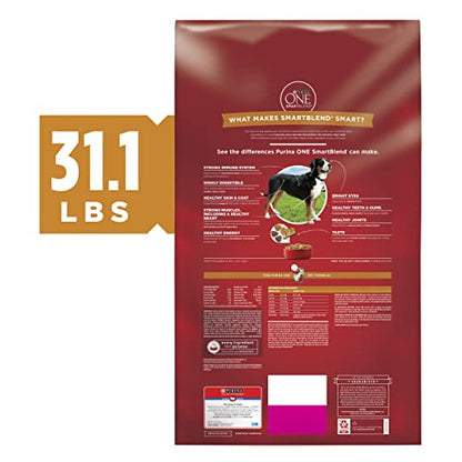 Purina ONE Chicken and Rice Formula Dry Dog Food - 31.1 lb. Bag