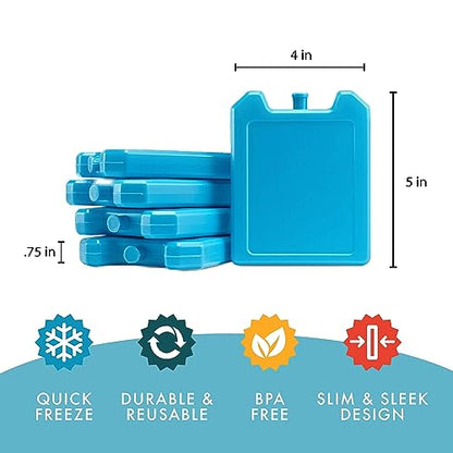 Cool Coolers by Fit Fresh, 5 Pack Days of the Week Ice Blocks, Compact Reusable Ice Packs for Lunch Boxes & Coolers, Multi Colored