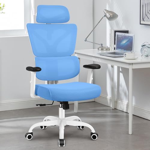 Winrise Office Chair Ergonomic Desk Chair, High Back Gaming Chair, Big and Tall Reclining chair Comfy Home Office Desk Chair Lumbar Support Breathable Mesh Computer Chair Adjustable Armrests(Sky Blue)