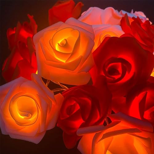 TURNMEON 7Ft 20 Led Valentines Rose Lights,Valentines Day Decor Red Pink Rose Fairy Lights Battery Operated Artificial Rose Flowers Garland Valentines Decoration Home Indoor Outdoor(Warm White)